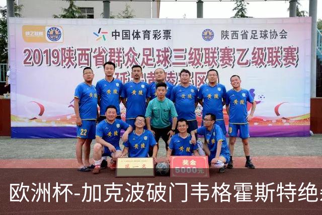 欧洲杯-加克波破门韦格霍斯特绝杀 荷兰2-1波兰