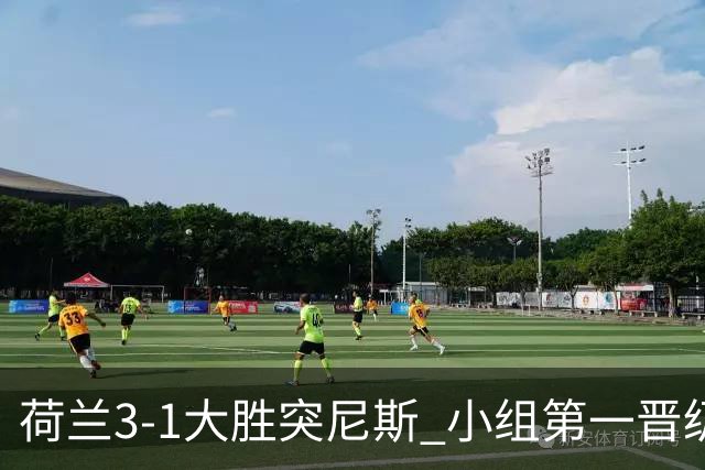 荷兰3-1大胜突尼斯 小组第一晋级淘汰赛将战摩洛哥